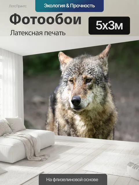 500 × 300 см · Латексная печать
