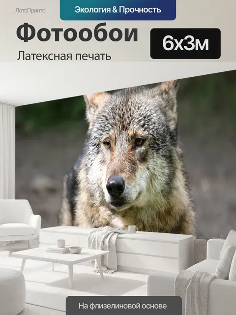 600 × 300 см · Латексная печать