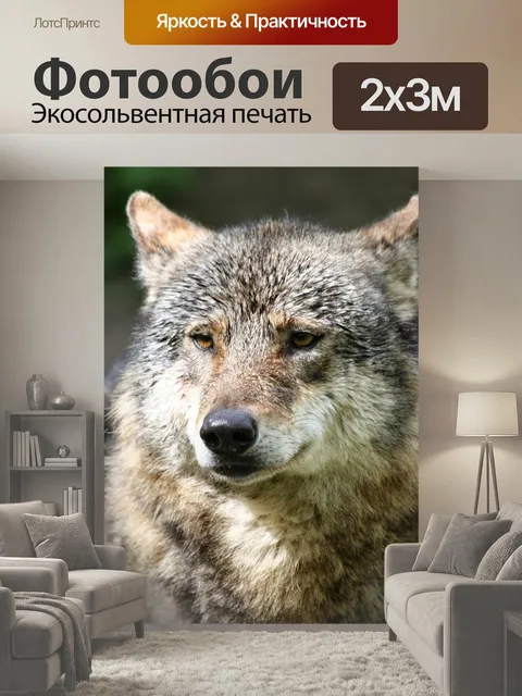 200 × 300 см · Экосольвентная печать