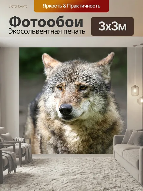 Фотообои Млекопитающее, волк, природа