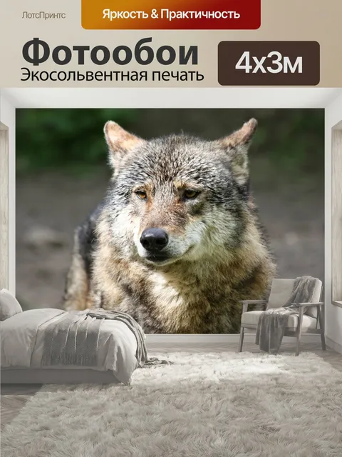 400 × 300 см · Экосольвентная печать