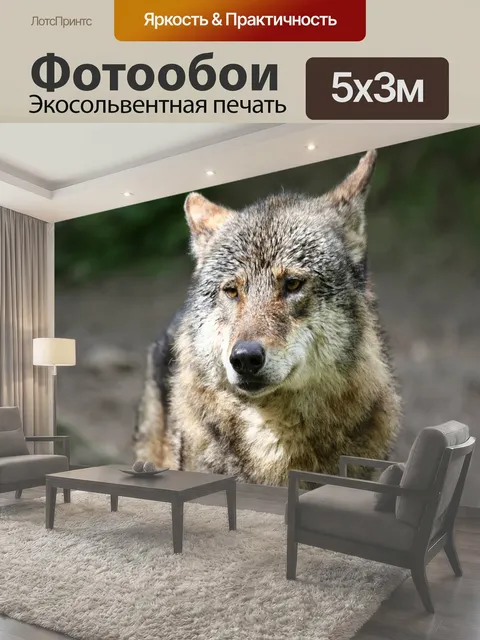 500 × 300 см · Экосольвентная печать