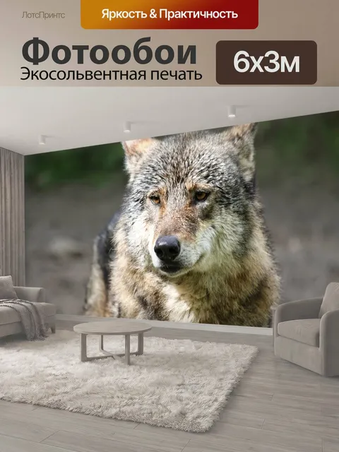 600 × 300 см · Экосольвентная печать