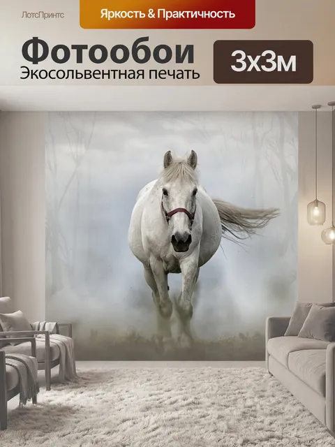 Фотообои Лошадь, млекопитающее, белая лошадь