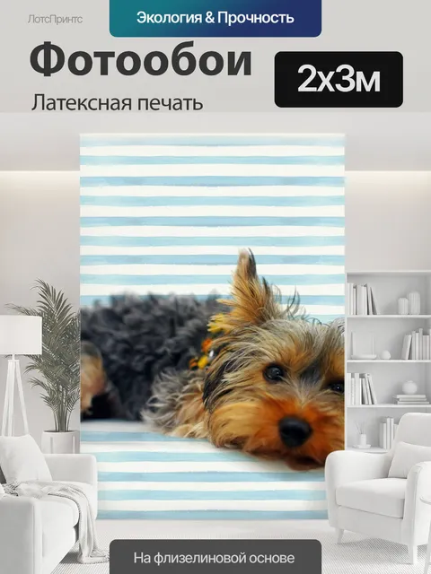 200 × 300 см · Латексная печать