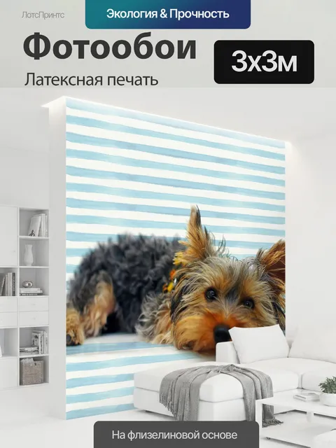 300 × 300 см · Латексная печать