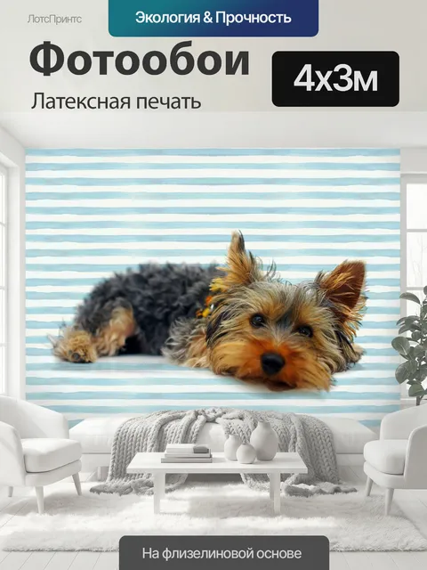 400 × 300 см · Латексная печать