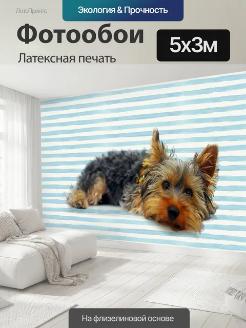 500 × 300 см · Латексная печать