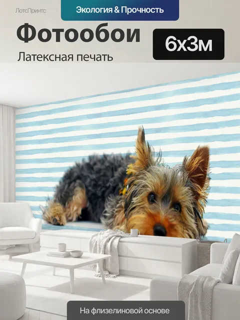 600 × 300 см · Латексная печать