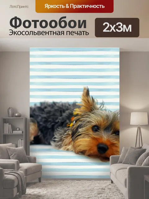 200 × 300 см · Экосольвентная печать