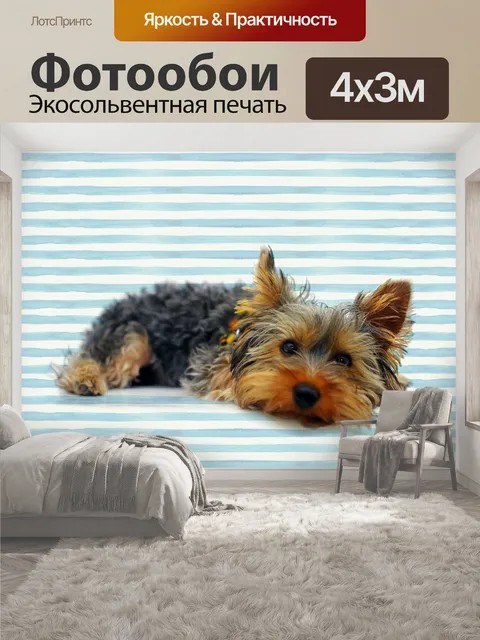 400 × 300 см · Экосольвентная печать