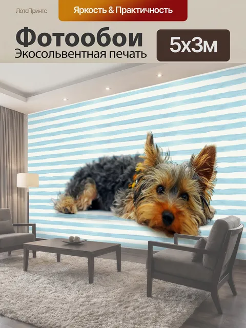 Фотообои Собака Йоркширский терьер Симпатичная