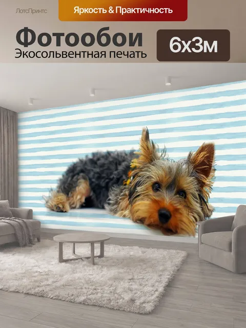 600 × 300 см · Экосольвентная печать