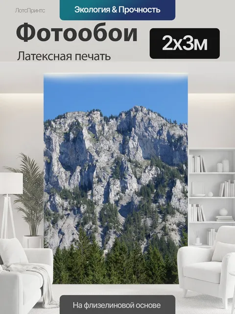 200 × 300 см · Латексная печать