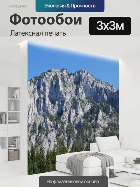 300 × 300 см · Латексная печать