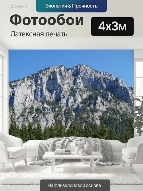 400 × 300 см · Латексная печать