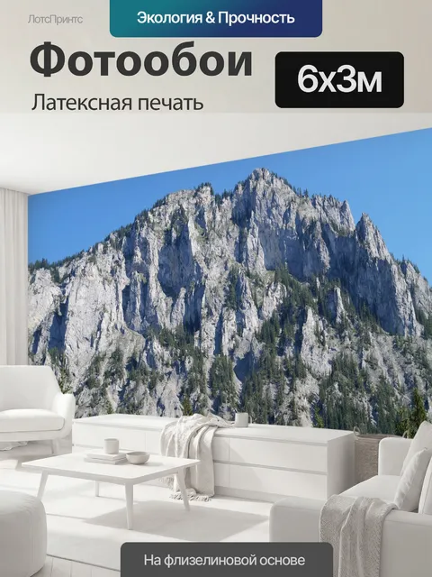 600 × 300 см · Латексная печать