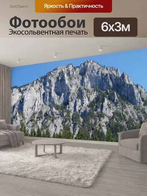 600 × 300 см · Экосольвентная печать