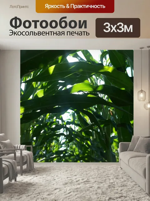 Фотообои Кукуруза, поле, листья