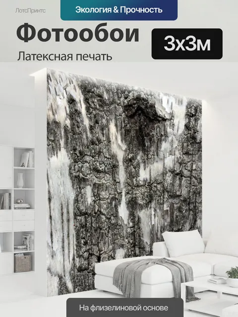 300 × 300 см · Латексная печать