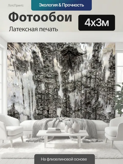400 × 300 см · Латексная печать