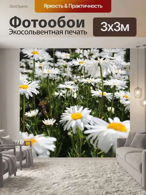 Фотообои Ромашки, цветы, поле