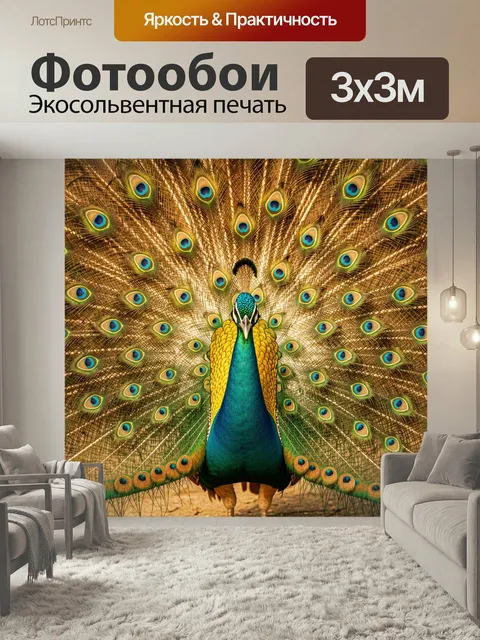 Фотообои Павлин с распущенным хвостом. Роскошная птица с веерообразным оперением в золотисто-бирюзовых оттенках, крупн…