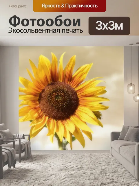 Фотообои Подсолнух, летом, сад