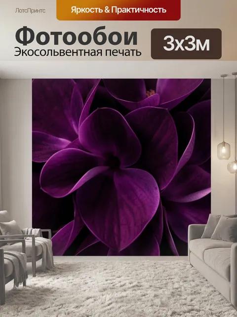 Фотообои Пурпурные лепестки крупным планом. Макросъёмка роскошного цветка с бархатистыми фиолетово-розовыми лепестками…