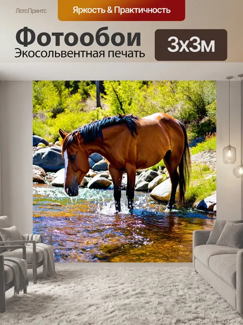 Фотообои Лошадь, пьющая воду из ручья в горах