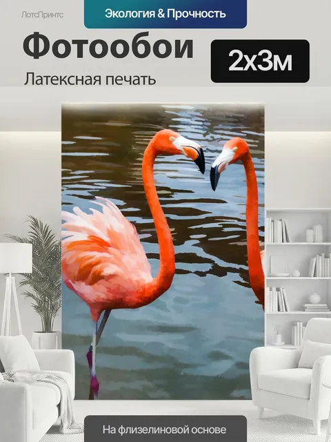 200 × 300 см · Латексная печать