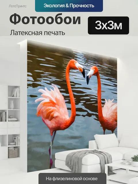 300 × 300 см · Латексная печать