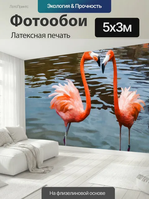 500 × 300 см · Латексная печать