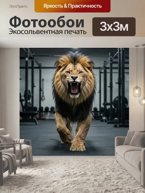 Фотообои Рычущий лев в спортзале. Мощный хищник с густой гривой идет вперед в современном тренажерном зале, оскаленная…
