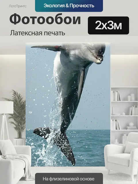 200 × 300 см · Латексная печать