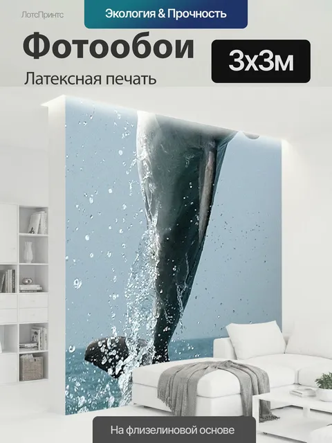 300 × 300 см · Латексная печать