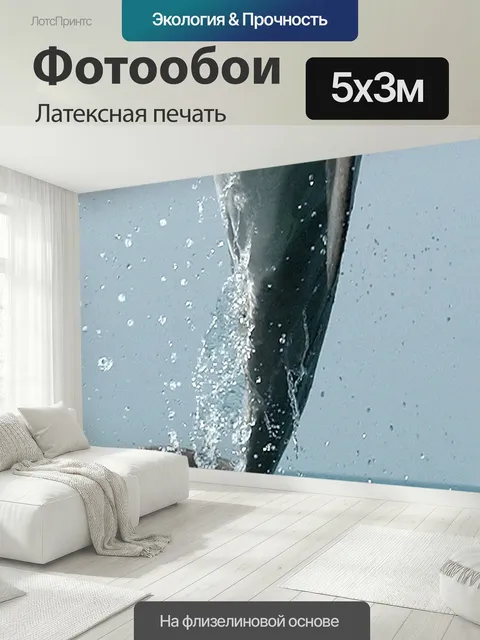 500 × 300 см · Латексная печать