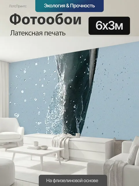 600 × 300 см · Латексная печать