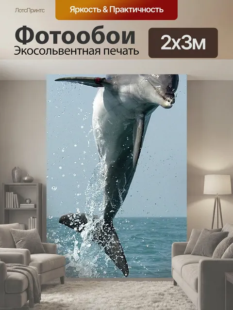 200 × 300 см · Экосольвентная печать