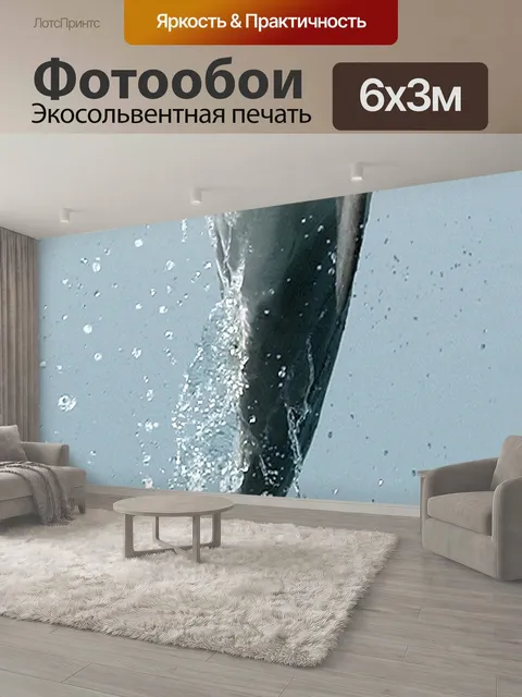 600 × 300 см · Экосольвентная печать