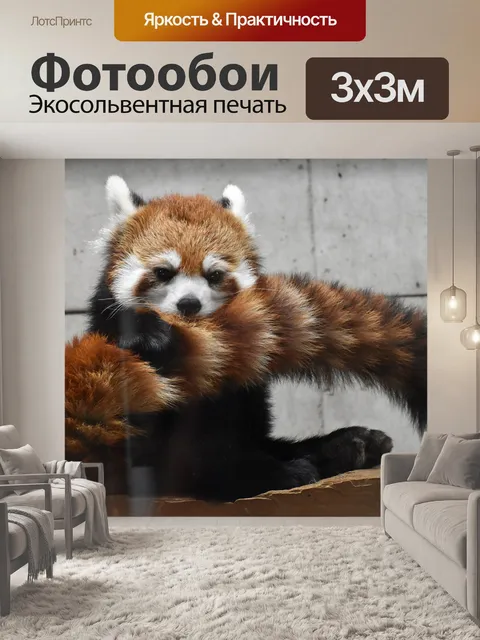 Фотообои Красный, панда, зоопарк
