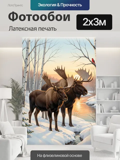 200 × 300 см · Латексная печать