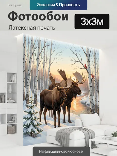 300 × 300 см · Латексная печать