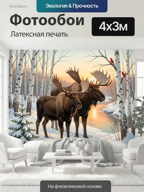 400 × 300 см · Латексная печать