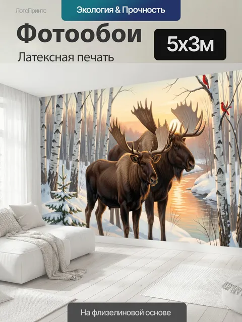 500 × 300 см · Латексная печать
