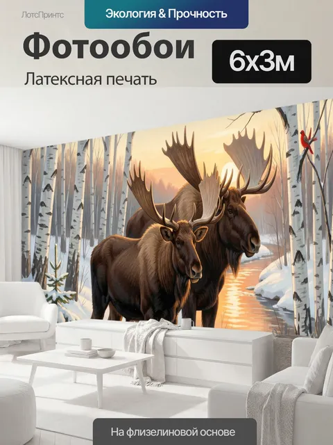 600 × 300 см · Латексная печать