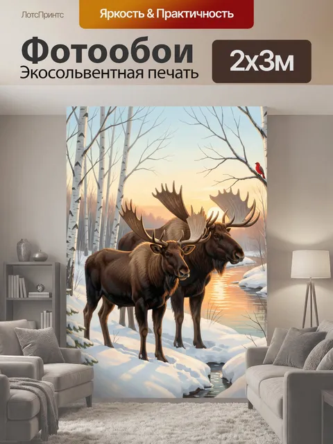 200 × 300 см · Экосольвентная печать
