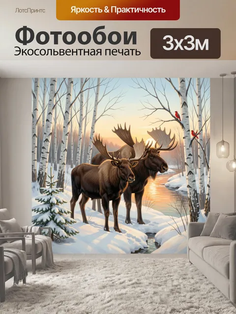 300 × 300 см · Экосольвентная печать
