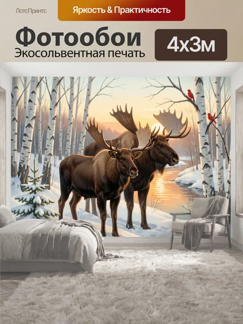 400 × 300 см · Экосольвентная печать