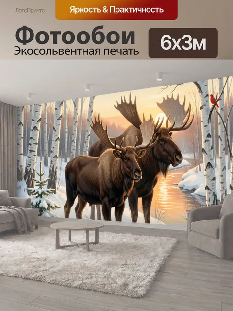 600 × 300 см · Экосольвентная печать